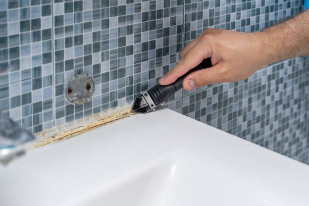 Best Certified Mold Removal  in Lake Shore, MN